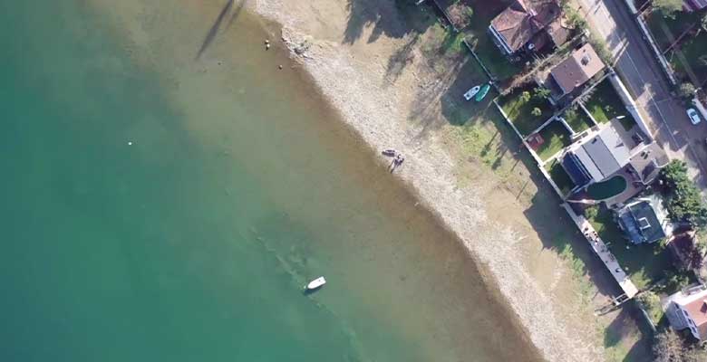 ANA SAYFA